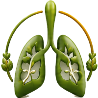 Holistic Healing Approach - Rishikesh Yoga Therapy