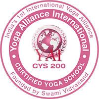 Rishikesh Yoga Therapy - Yoga Therapy Sessions