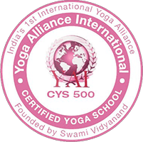 Rishikesh Yoga Therapy - Yoga Therapy Sessions